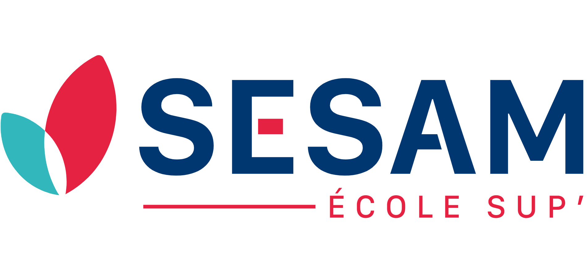 SESAM Formations - Sesam Ecole Sup' & Sesam Institut