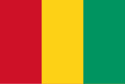 Flag_of_Guinea.svg